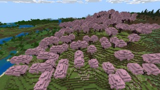 Screenshot of the 'Cherry Blossoms Galore' Minecraft Seed showing a field full of cherry blossom trees.