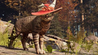 A cat in a hat which can be adopted in Nightingale's Realms Rebuilt update.